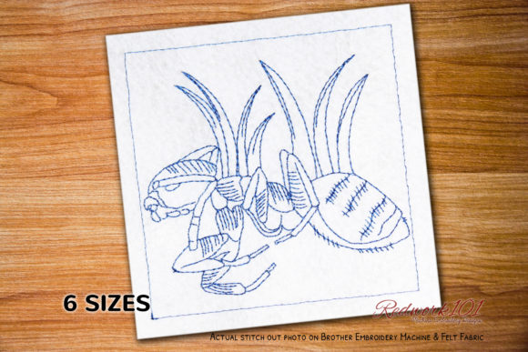 Macro Ghost Ant Design: A Review for Custom Gifts