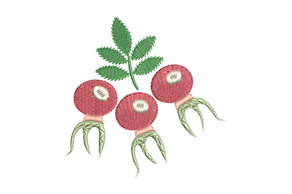 Red Rose Hips with a Green Leaf Review