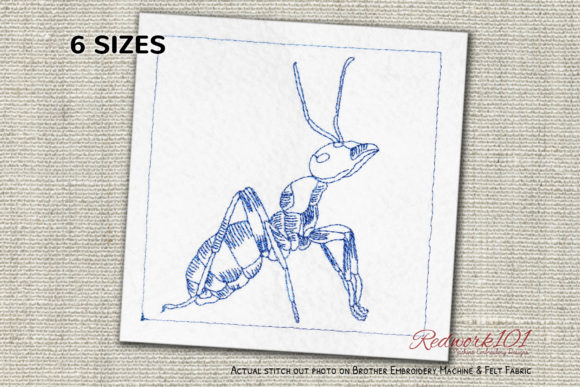 Red Wood Ant Bluework: A Designer’s Stitch Test